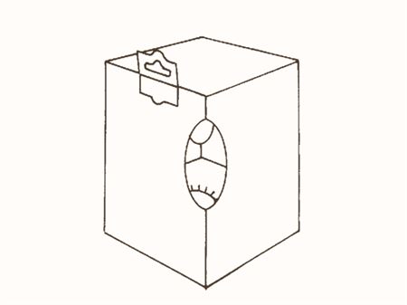 Коробка с цельнокроеными ложементом и крючком для подвешивания